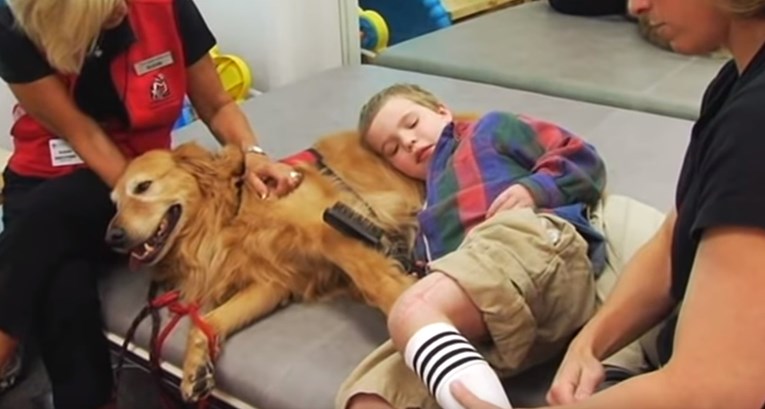 Terapijski pas ljubavlju i strpljenjem spasio život teško bolesnom dječaku