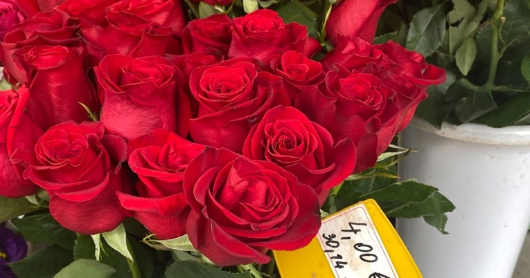 Planirate poklanjati ruže ove godine za Valentinovo? Evo koliko koštaju