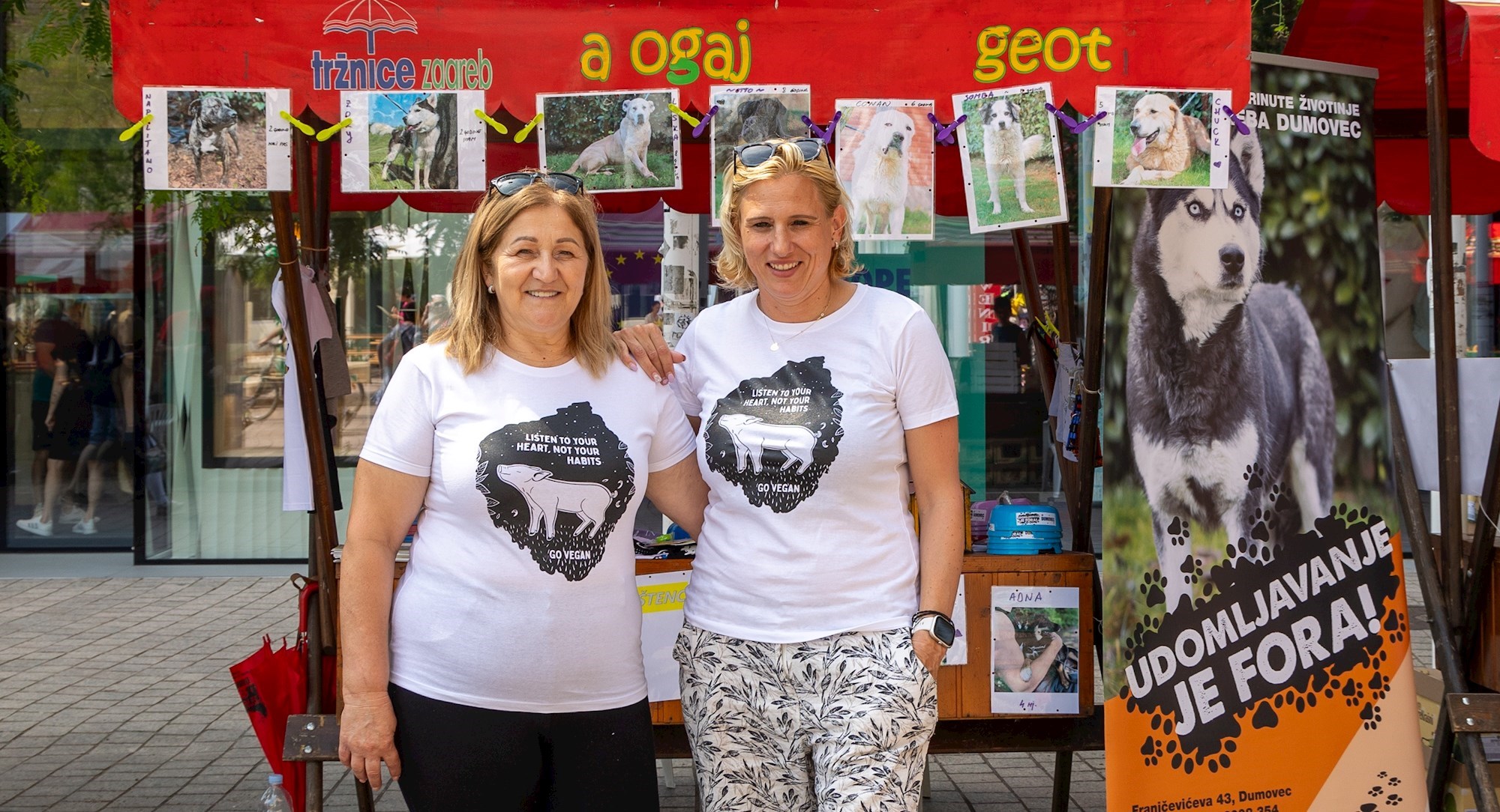 Azili su puni pasa, ljudi i dalje traže da je "bijeli, mali, do osam kila, maltezer"
