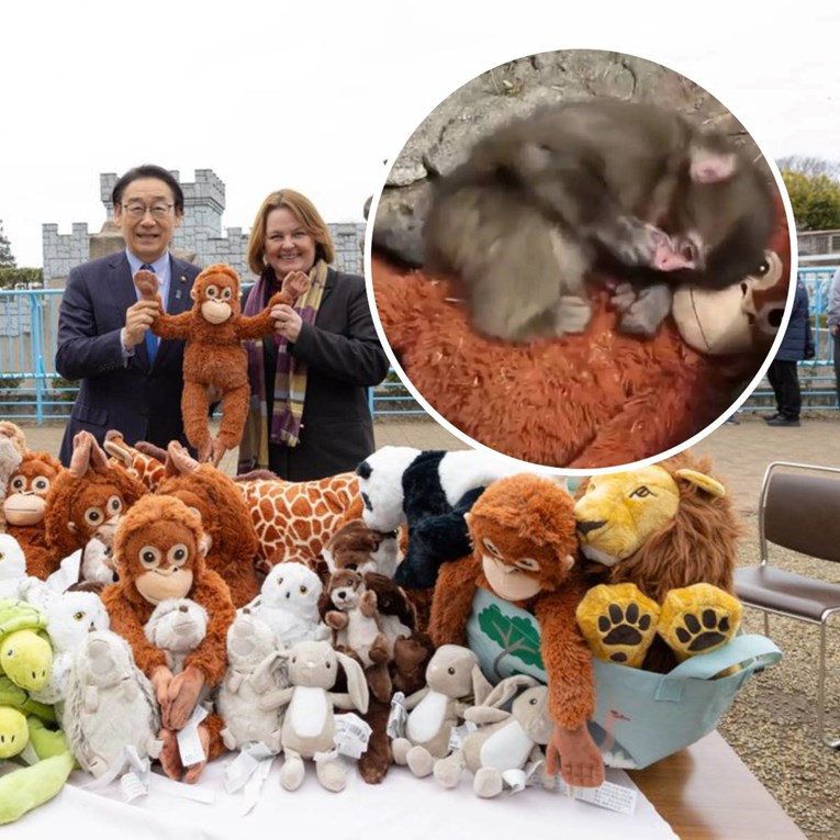 IKEA donirala gomilu plišanih igračaka onom majmunčiću kojeg je ostavila mama