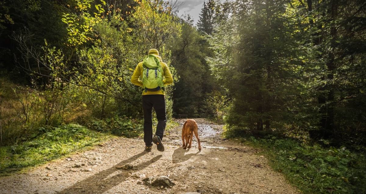 Nestali planinar nađen mrtav u SAD-u. Pored bio njegov pas, još uvijek je živ