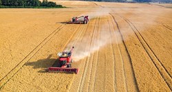 Argentina prva u svijetu odobrila genetski modificiranu pšenicu otpornu na sušu