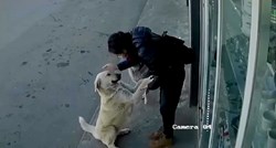 VIDEO Nadzorna kamera snimila divnu ženu koja je psima lutalicama uljepšala dan