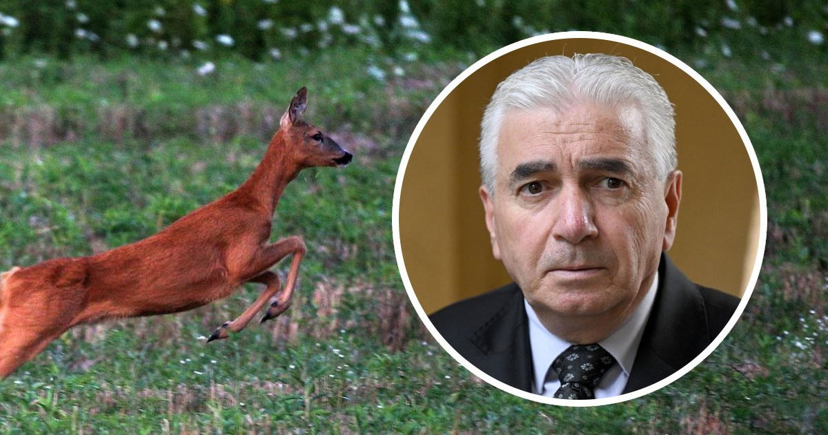 Vlada mijenja pravila lova. Zakup lovišta trajat će 20 godina