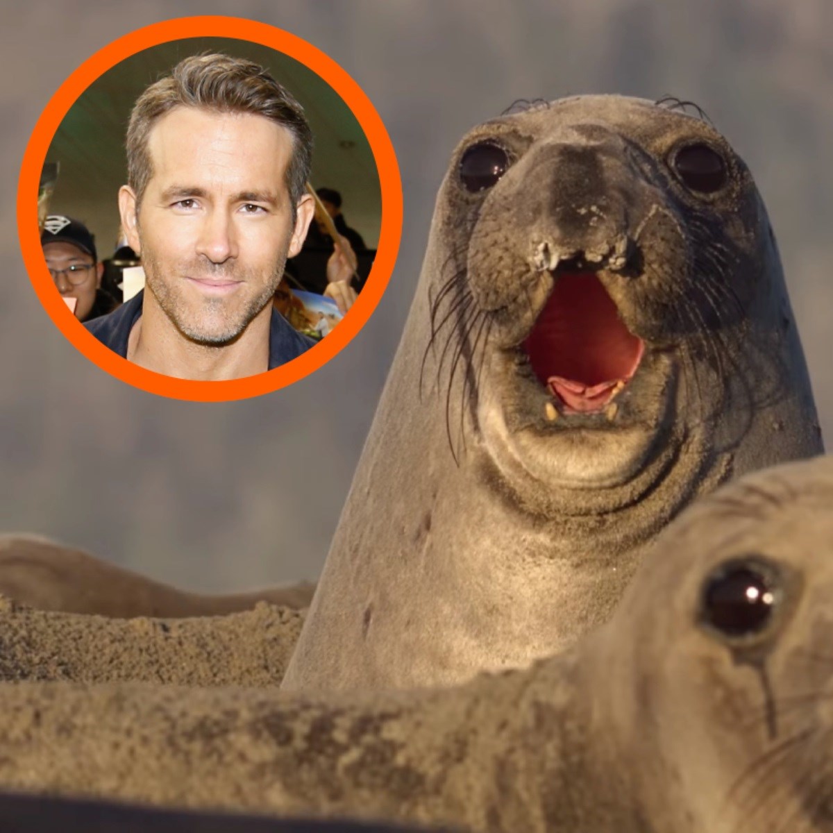 "Slavimo najveće gubitnike na svijetu": Ryan Reynolds snimio seriju za Nat Geo