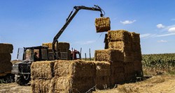 Zabrana izvoza pšenice iz Hrvatske je glupa ideja koja može stvoriti probleme