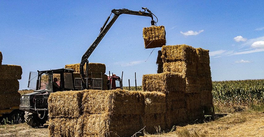 Zabrana izvoza pšenice iz Hrvatske je glupa ideja koja može stvoriti probleme