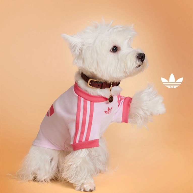 Adidas izbacio mini kolekciju za ljubimce, ali nećete je lako nabaviti