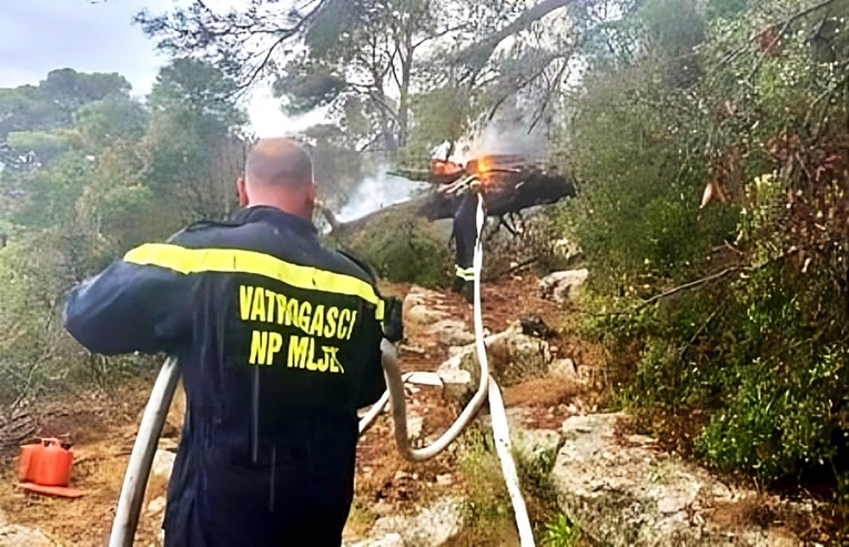 Izbio požar u Nacionalnom parku Mljet, vatrogasci ga brzo ugasili