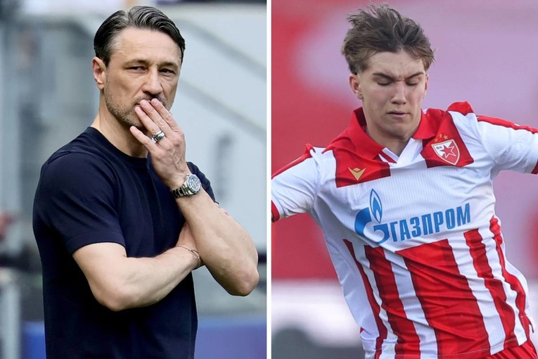 Nijemci: Kovaču dolazi Zvezdin dragulj. Borussia će platiti 25 milijuna eura