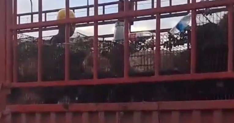 Policija u Kini presrela kamion s 386 pasa. Prevoženi su zbog zastrašujućeg razloga