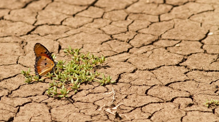 Europski parlament: Borba protiv klimatskih promjena dio je sigurnosne politike EU