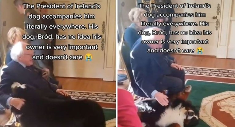 Irski predsjednik na službenoj dužnosti mazio svog razigranog psa, video je hit