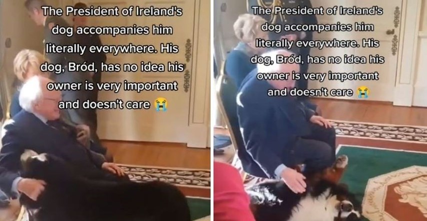 Irski predsjednik na službenoj dužnosti mazio svog razigranog psa, video je hit