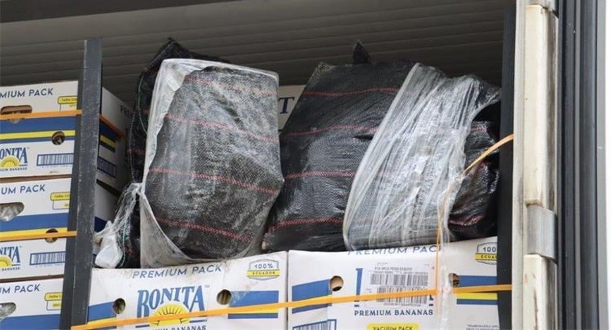 U kontejneru s bananama u riječkoj luci našli 85 kilograma kokaina