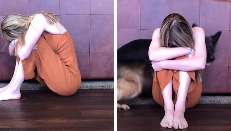 Glumila je da je tužna kako bi vidjela reakciju svojih pasa. Evo što su učinili