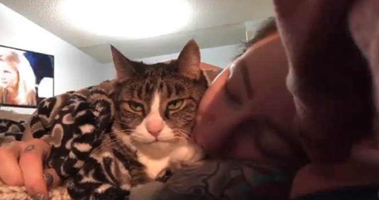 Vlasnica pokazala što njena mačka radi dok ona spava, ljudi oduševljeni: To je ljubav