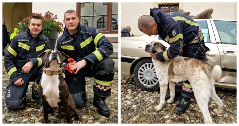 Psi iz Dumovca družili se sa zagrebačkim vatrogascima, baš su uživali
