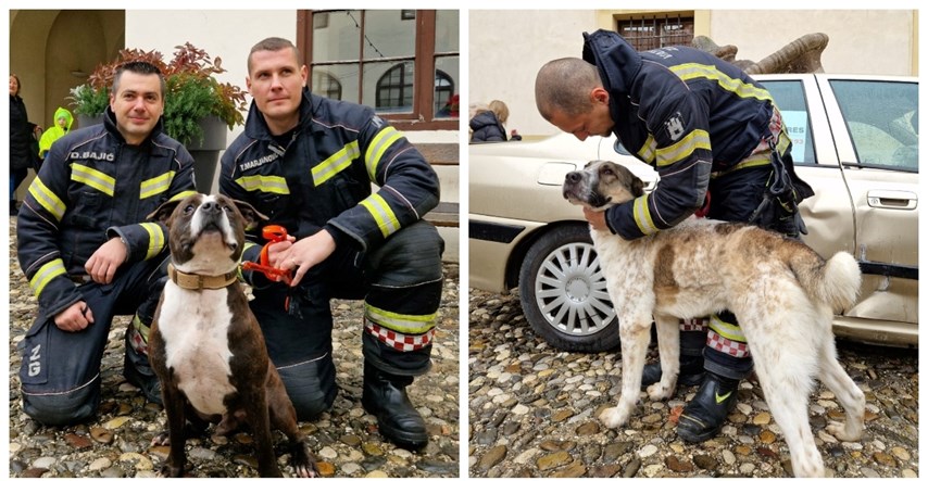 Psi iz Dumovca družili se sa zagrebačkim vatrogascima, baš su uživali