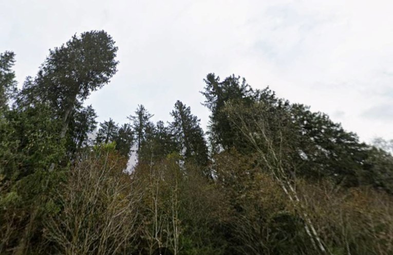 Roj dronova uočen nad belgijskom vojnom bazom