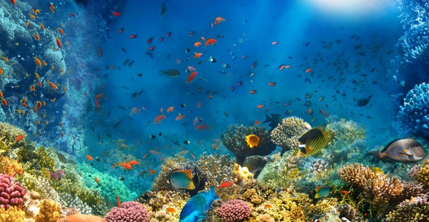 Na međunarodnoj konferenciji obećano 20 milijardi dolara za zaštitu oceana