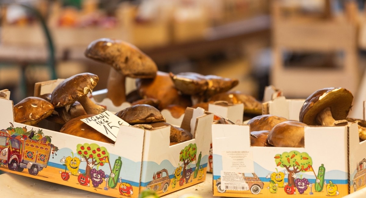 Na tržnicama sve miriše na ljetne vrganje. Donosimo najbolje recepte