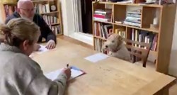 Posjeli psa za stol i snimili neodoljiv intervju koji morate vidjeti
