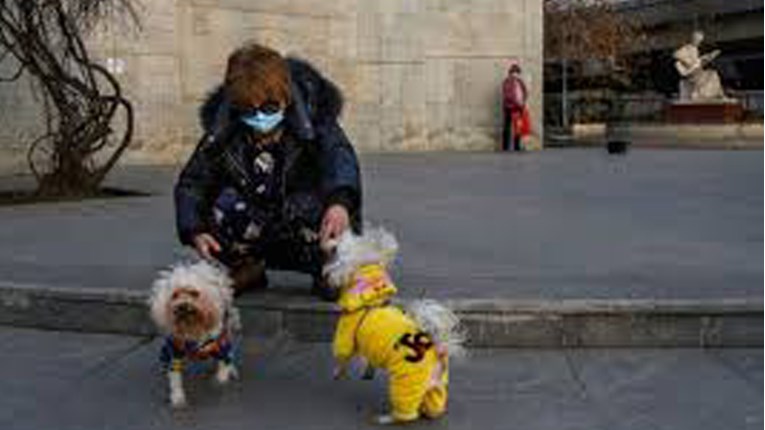Pas u Kini je blago pozitivan na koronavirus. Čekaju se konačni nalazi