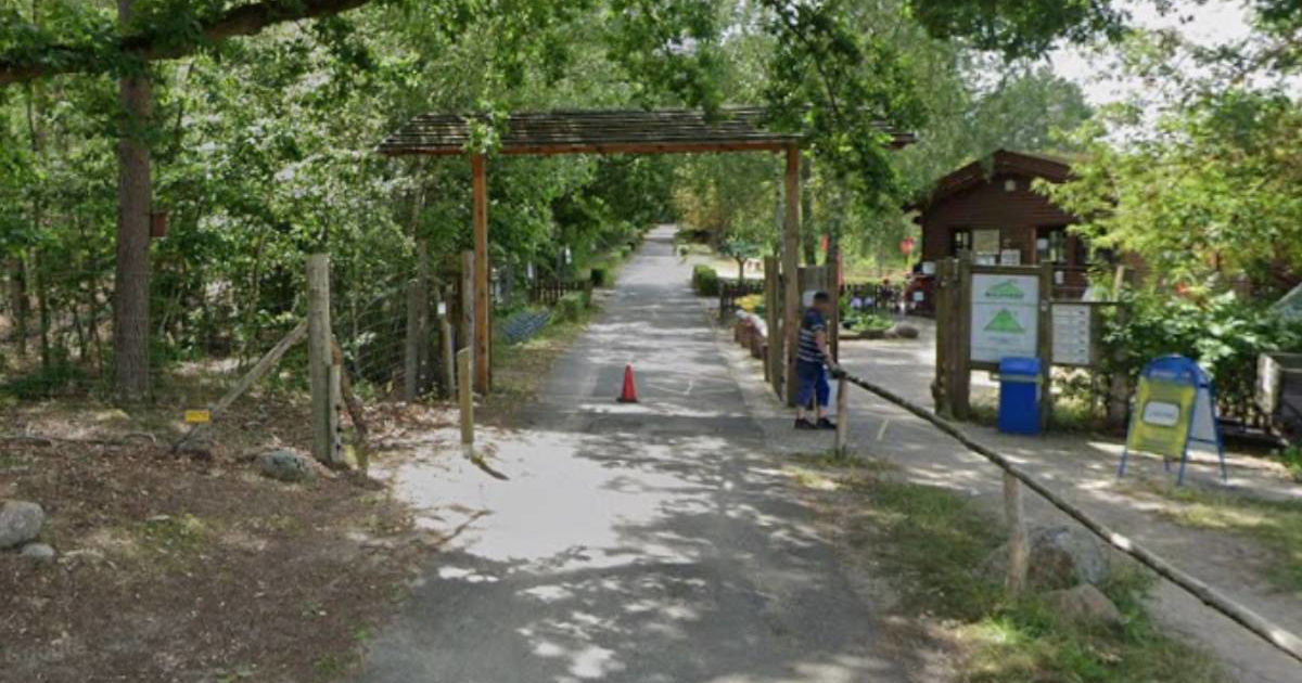 Vuk napao djevojčicu (8) u zoološkom vrtu u Njemačkoj. Teško je ozlijeđena