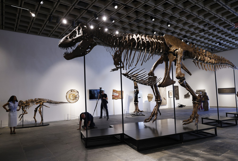T. rex prodan za 50 milijuna dolara. Oboren je rekord