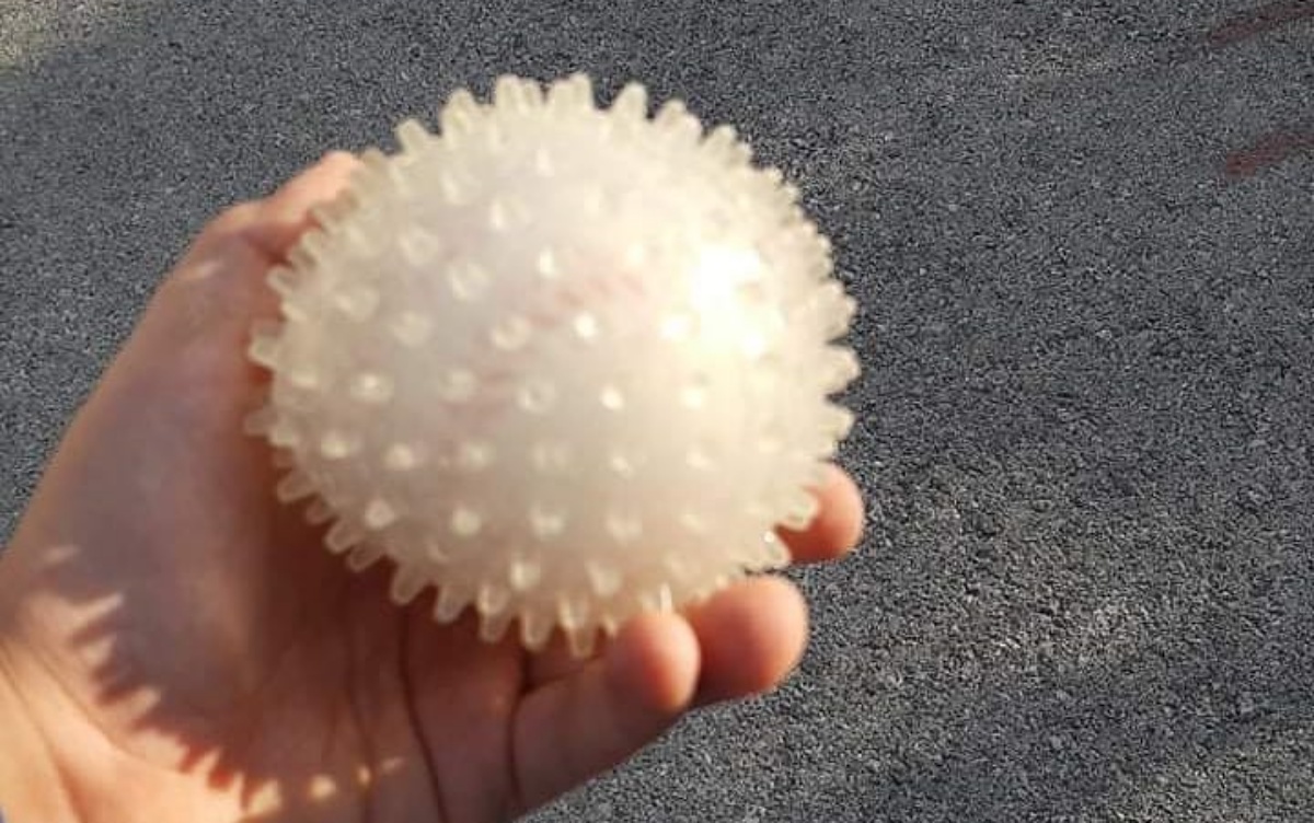Dalmatinac postao hit na Fejsu: "Ono kad uvatiš koronu u ruke..."