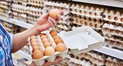 Jaja iz supermarketa iz fore stavila u inkubator, nakon mjesec dana dogodilo se čudo