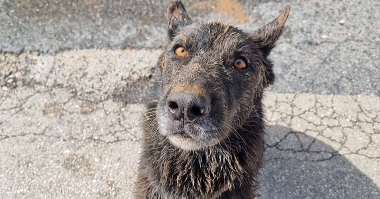 Zara se vratila kući nakon što je neumorno tragala za nestalima u Jablanici