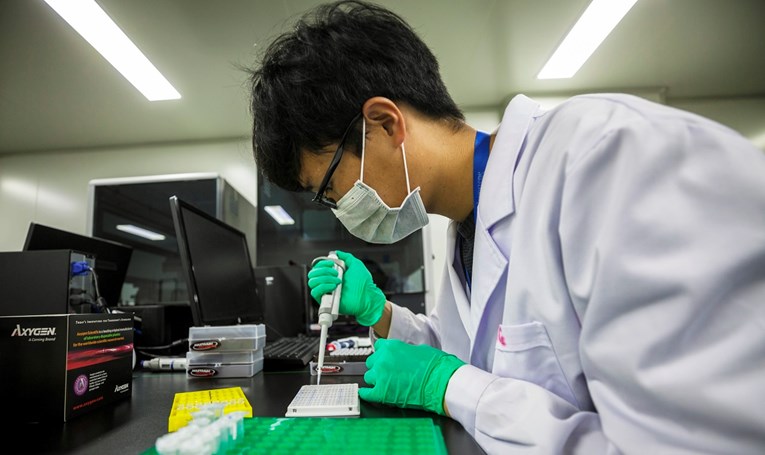 Stručnjaci traže odgodu genetskog inženjeringa spolnim stanicama