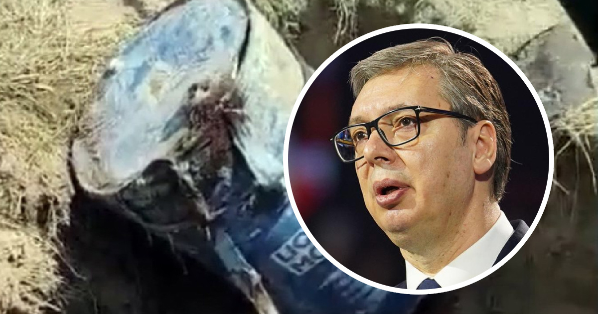 Vučić: Ubijeni nije bio akademik, ali ovo su napravili monstrumi