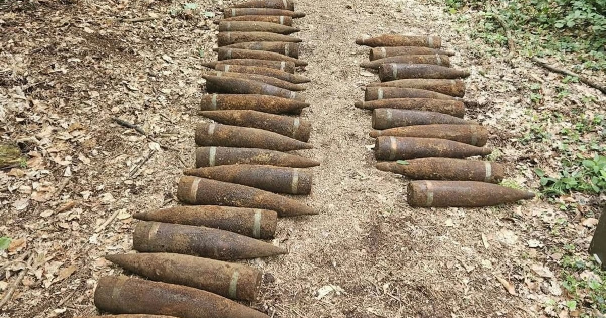 FOTO Tona i pol granata iz Drugog svjetskog rata pronađena u šumi Berlinu