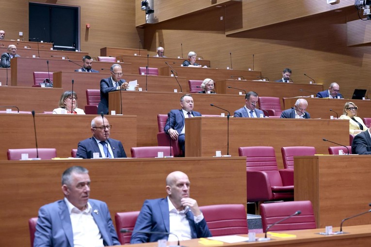 U Saboru rasprava o nestalim osobama. "Srbija je najveći kočničar"