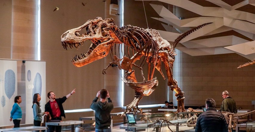 Studija: Mladunčad T-Rexa uništila je manje vrste dinosaura