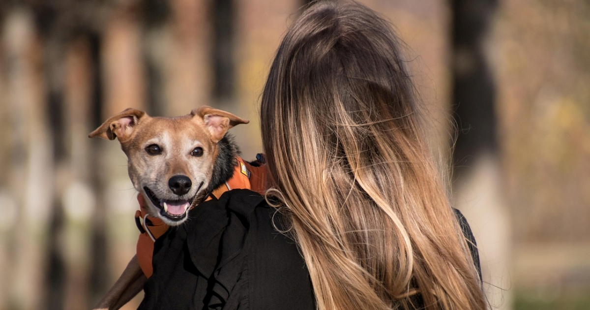 Znakovi kojima vam pas pokazuje da vas voli i osjeća se sigurno