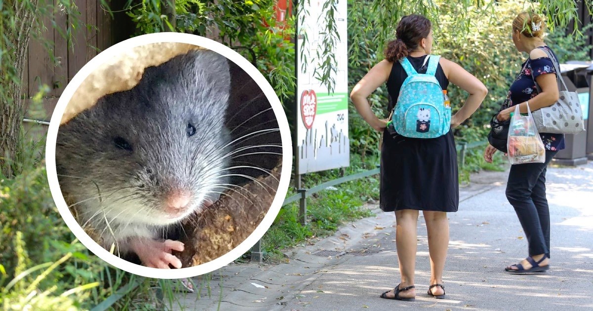 Zagrebački ZOO jedini je zoološki vrt na svijetu u kojem se mogu vidjeti 2 životinje