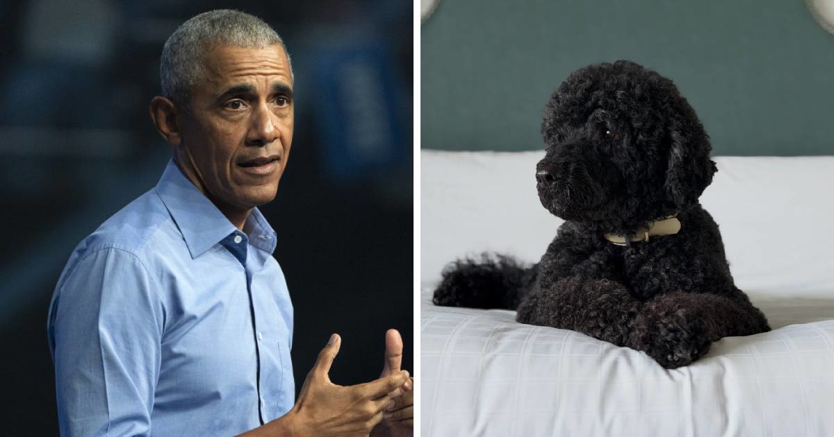 Uginula Sunny, kujica obitelji Obama