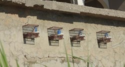 FOTO Ulovio strogo zaštićene ptice, držao ih u kavezima na kući u Novalji