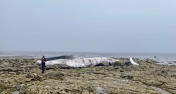 Kit dug 20-ak metara nasukao se na francuskom otoku