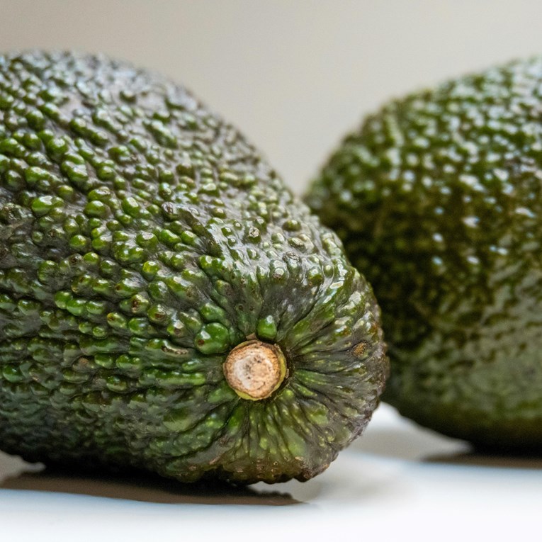 Kupujete avokado? Prvo pogledajte ovaj mali detalj koji govori koliko je zreo