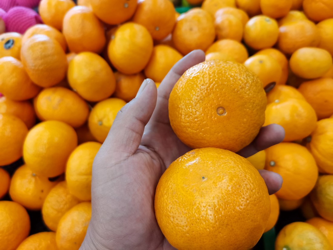 Zašto je sve više kupovnih mandarina suho i bez okusa?
