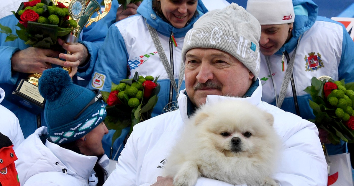 Zelenski: Lukašenkov bijeli špic ima veća prava nego bjeloruski narod