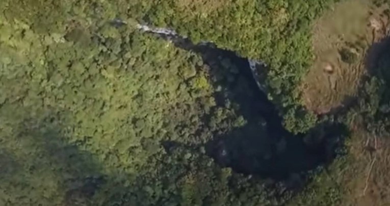 Na dnu ogromne rupe u Kini pronađena drevna šuma, pogledajte kako izgleda