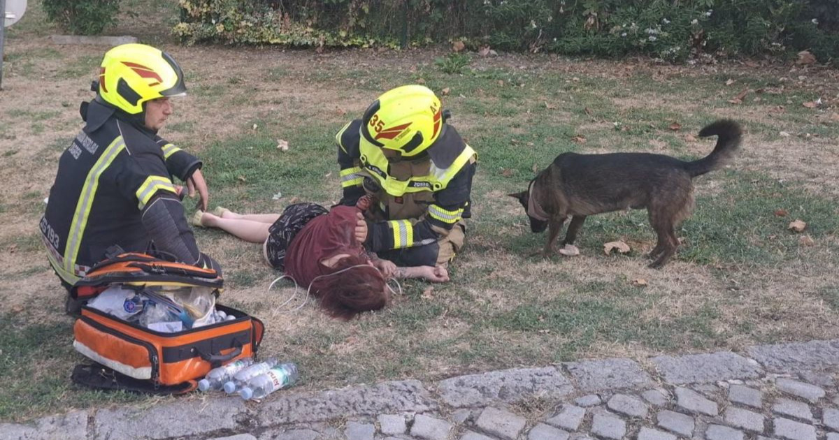 Požar u salonu za ljubimce u Zagrebu. Vatrogasci spasili vlasnicu i psa