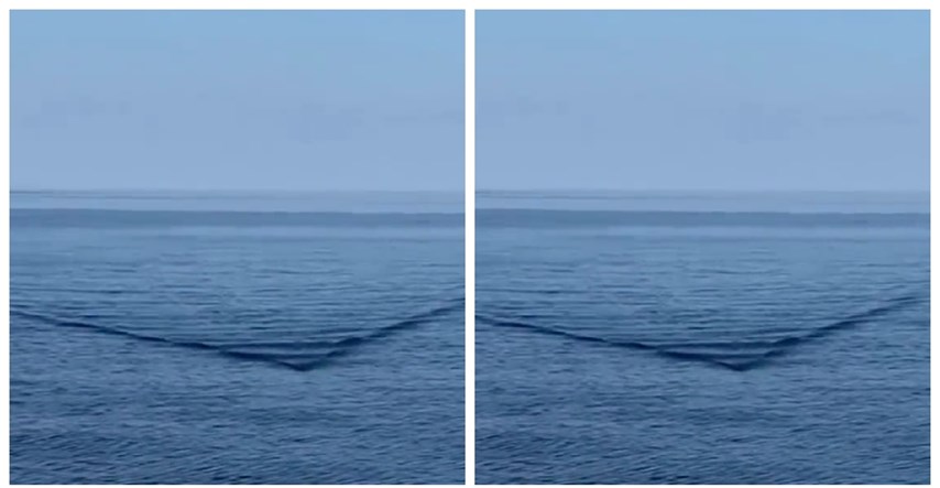 Snimili stravičan trenutak u kojem se morski pas od šest metara približava brodici