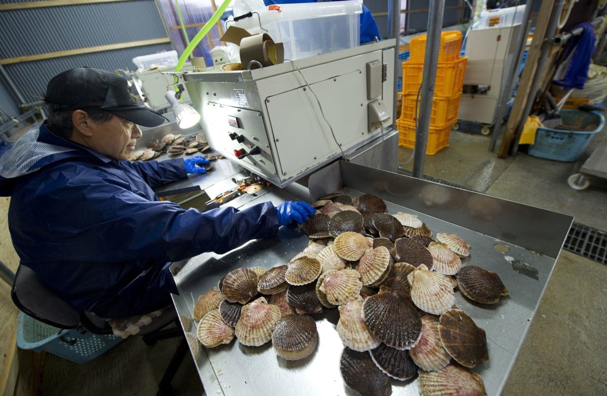 Kina zabranjuje uvoz morskih plodova iz Japana